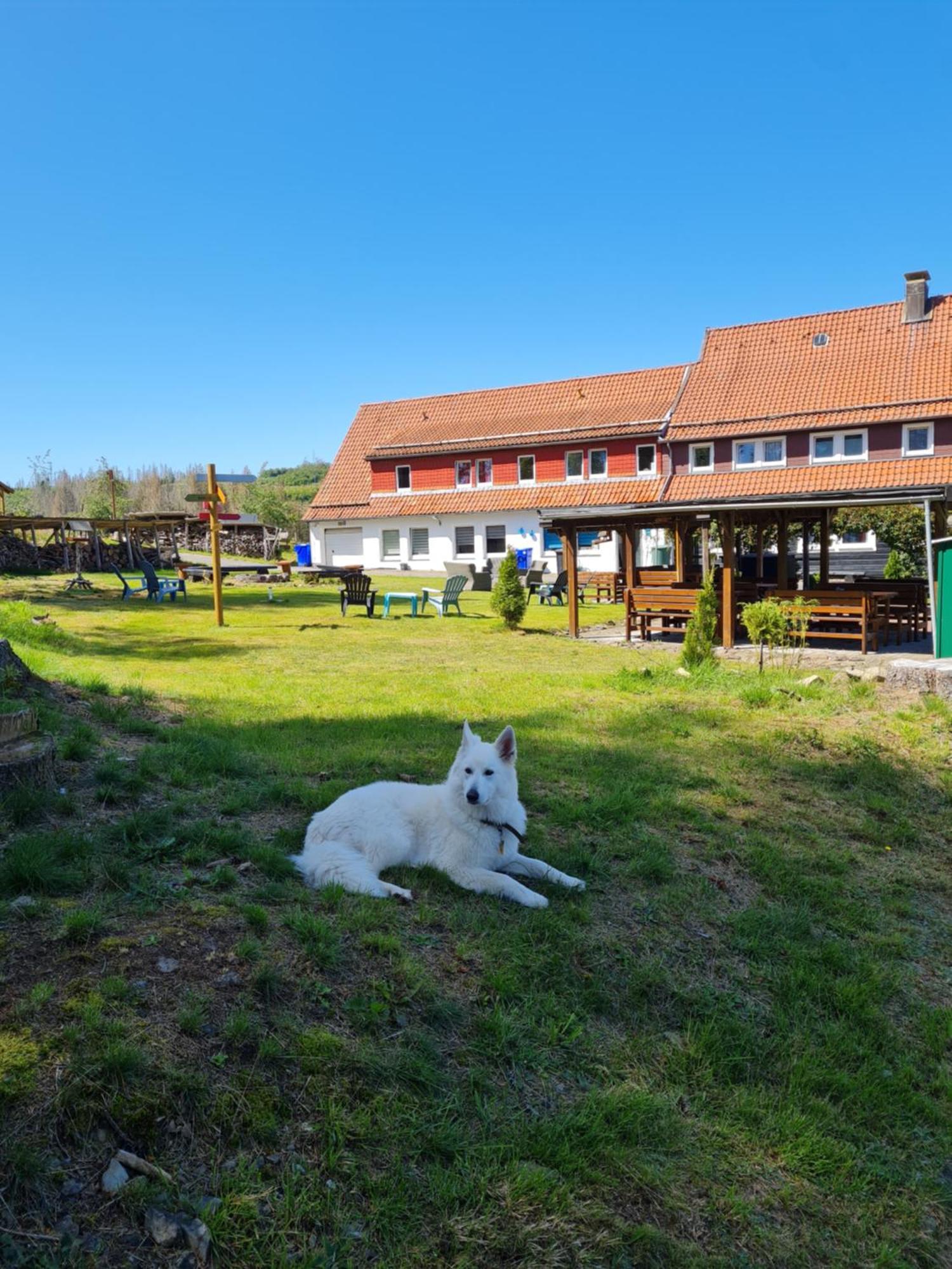 Welt Lodge Altenau  Exterior photo