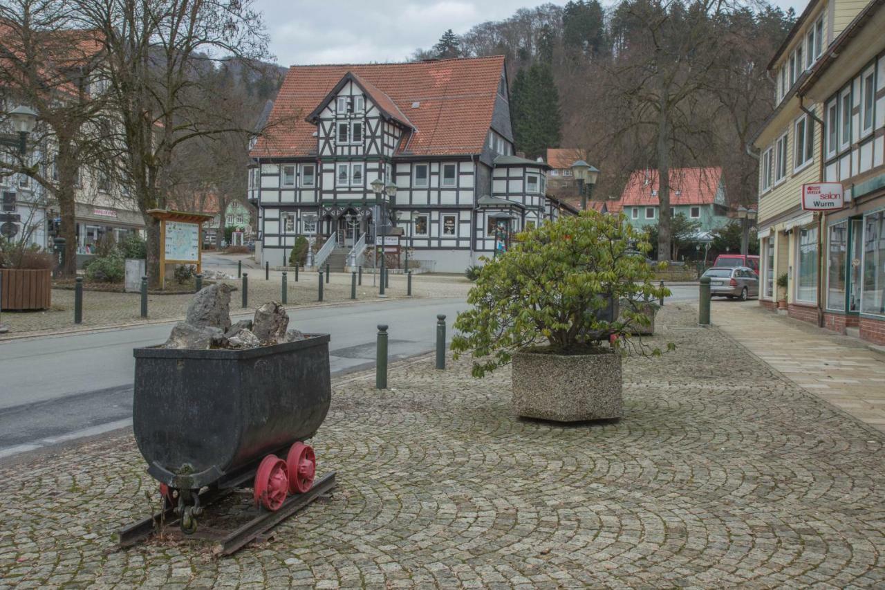 Welt Lodge Altenau  Exterior photo